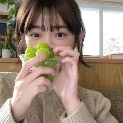 捕狼行动